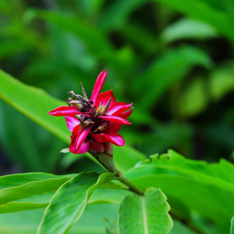 Platzhalter Bild Platzhalter Bild